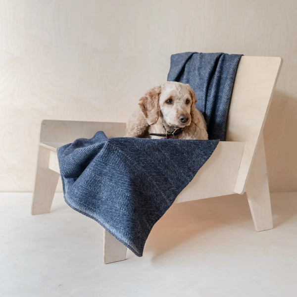 A cream-colored labradoodle pup lounges on a large navy herringbone recycled wooll pet blanket on a modern birch plywood chair.