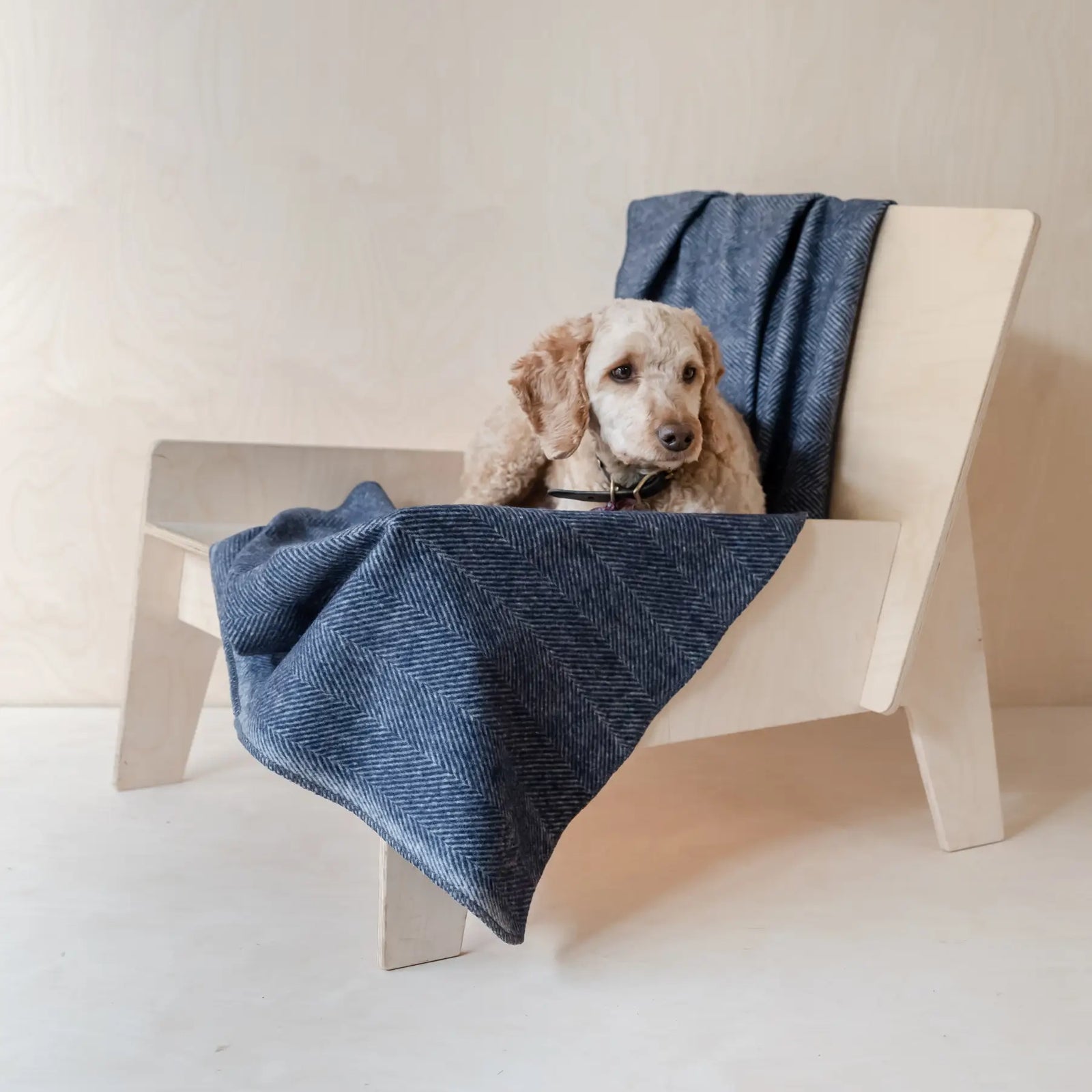 Recycled Wool Large Pet Blanket by The Tartan Blanket Co. Press Still